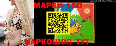 apvp Беслан