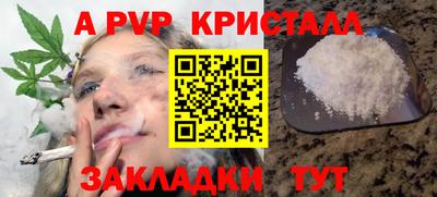 гашик Берёзовский