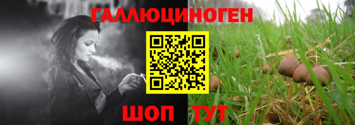 Галлюциногенные грибы мухоморы Камышлов